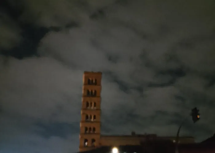 The Cats Tower